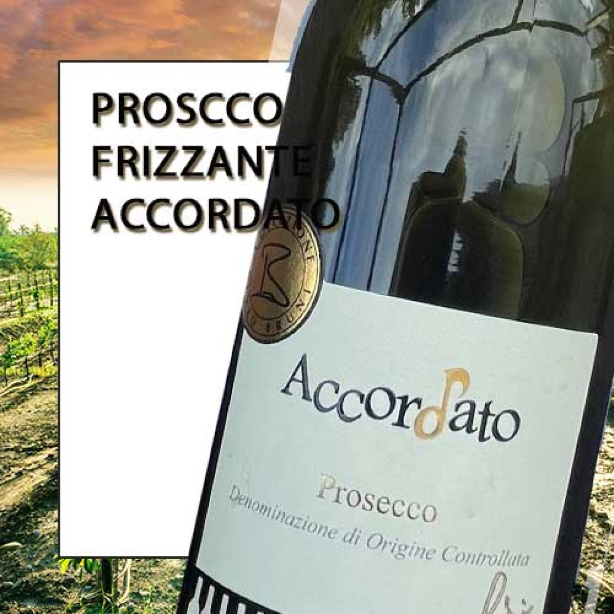Prosecco Frizzante Treviso Accordato